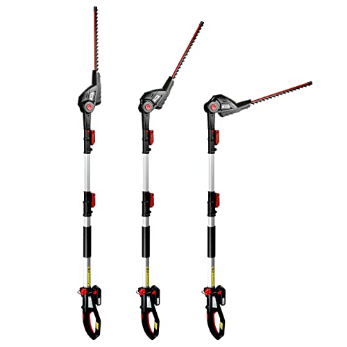 WALTER AkkuHochentaster/Heckenschere 20V, 2in1 Kombigerät mit