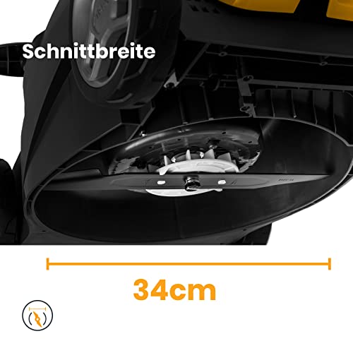 41lSmViVDL._SL500_.jpg