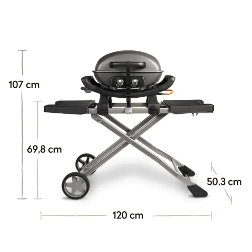 VIVOHOME Ovaler Gusseisen-Grill Mit Abdeckhaube – Inklusive Rost, Grillplatte & Schutzhülle