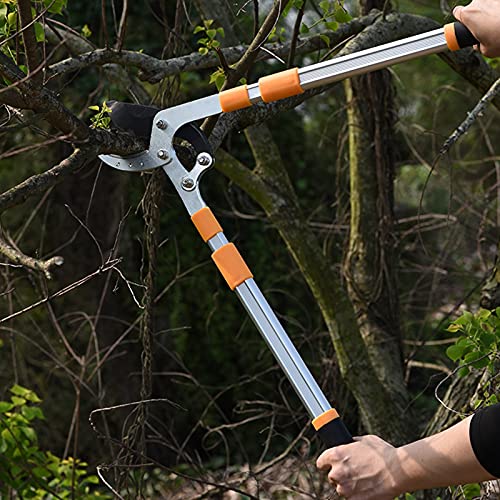 JRZTC Teleskopschere GartenAstschneider