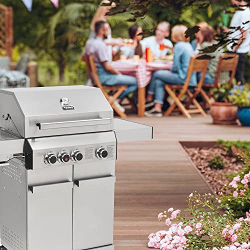 TAINO Black 2 1 Gasbarbecue met zijbrander, gietijzeren rooster, 2 branders, staande grill, mat zwart