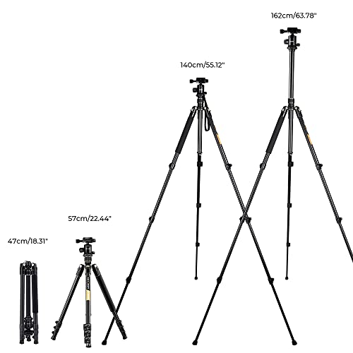 Softbox Licht K&F CONCEPT 280cm Lichtständer Licht Stativ Edelstahl Ringlicht Mit Stativ Handy