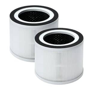 GoKBNY 2er-Pack H06 True HEPA Ersatzfilter, kompatibel mit HIMOX Luftreiniger H06